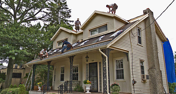 Best Roof Maintenance Services  in Scow Mills, MO
